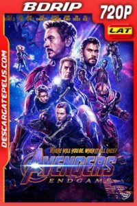 Vengadores. Endgame 2019 720p BDrip Latino – Inglés