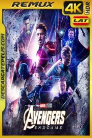 Vengadores. Endgame 2019 BD4K Remux Latino – Inglés