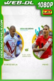 Venezuela vs Perú Copa América 2019 WEBL-DL 1080p Latino