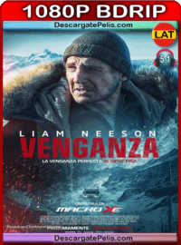 Cold Pursuit 2019 1080p BDrip Latino – Inglés