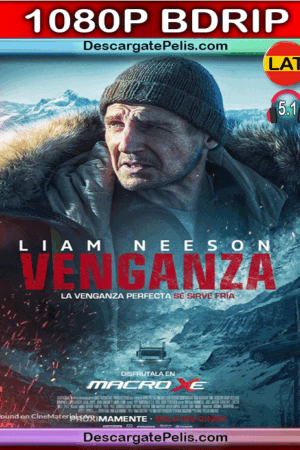 Cold Pursuit 2019 1080p BDrip Latino – Inglés