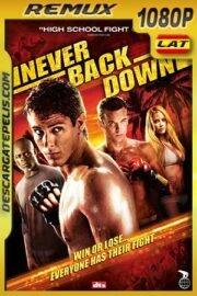 Rompiendo las reglas 2008 BDRemux Latino – Inglés