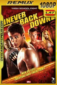 Rompiendo las reglas 2008 BDRemux Latino – Inglés