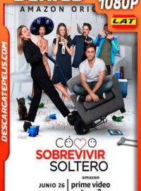 Cómo Sobrevivir Soltero (2020) 1080P WEB-DL AMZN