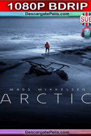 Arctic 2018 1080p BDrip Subtitulado