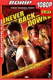 Rompiendo las reglas 2008 1080p BDrip Latino – Inglés