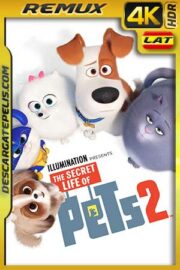 La vida secreta de tus mascotas 2 2019 BD4K Remux Latino – Inglés