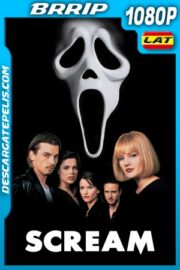 Mientras Estés Conmigo (2020) 1080P BRRIP Latino – Ingles