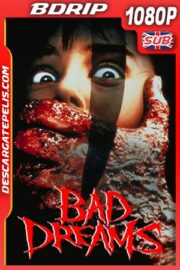 Visiones, 13 Años Después (1988) 1080P BDRIP Ingles