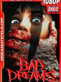 Visiones, 13 Años Después (1988) 1080P BDRIP Ingles