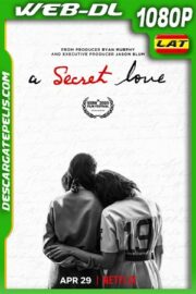 Un Amor Secreto (2020) 1080P WEB-DL Latino – Ingles
