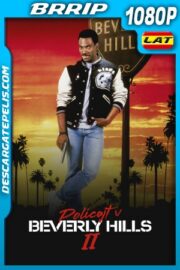 Superdetective en Hollywood 2 (1987) 1080P BRRIP Latino – Ingles