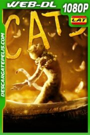 Cats (2019) 1080P WEB-DL Latino – Ingles