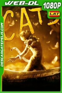 Cats (2019) 1080P WEB-DL Latino – Ingles