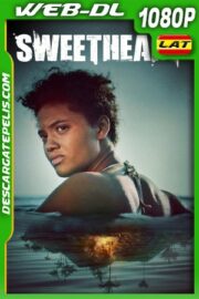 Sweetheart (2019) WEB-DL 1080P LATINO – INGLES