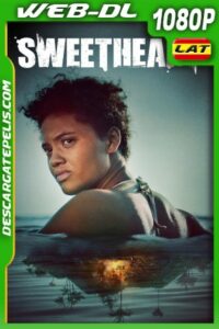Sweetheart (2019) WEB-DL 1080P LATINO – INGLES