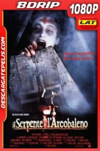 La Serpiente y El Arco iris (1988) 1080P BDRIP Latino – Ingles