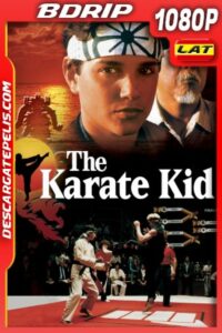 Karate Kid (1984) 1080P BDRIP Latino – Ingles