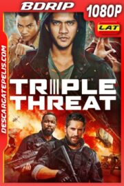 Triple Amenaza (2019) 1080P BDRIP Latino – Ingles