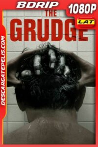 La Maldición Renace (2020) BDRIP 1080P LATINO – INGLES