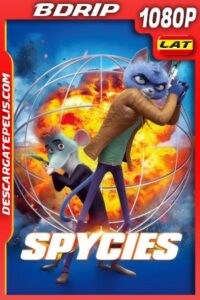 Spycies (2020) 1080P BDRIP Latino – Ingles