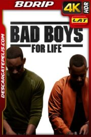 Bad Boys Para Siempre (2020) 4K BDRIP HDR Latino – Ingles