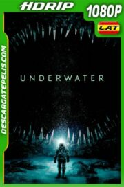 Amenaza En Lo Profundo (2020) 1080P HDRIP Latino – Ingles