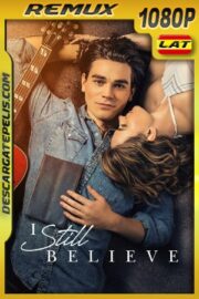 Bumblebee (2018) [1080P] [BRRIP] Latino Dual