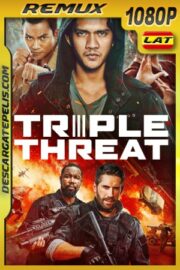 Triple Amenaza (2019) 1080P BDREMUX Latino – Ingles