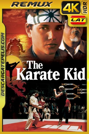 🥇 DescargatePelis | Karate Kid (1984) BDREMUX 4K HDR Latino - Ingles