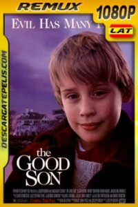 El Angel Malvado (1993) 1080P BDREMUX Latino – Ingles