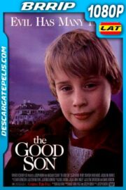 El Angel Malvado (1993) 1080P BRRIP Latino – Ingles