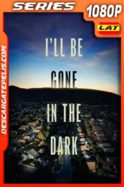 El Asesino Sin Rostro (2020) 1080P WEB-DL Latino – Ingles