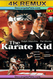 The Karate Kid 1984 BD4k Remux Latino – Inglés