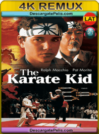The Karate Kid 1984 BD4k Remux Latino – Inglés