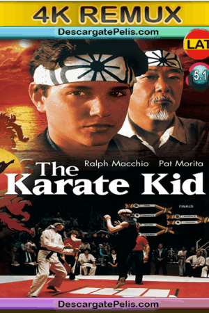 The Karate Kid 1984 BD4k Remux Latino – Inglés