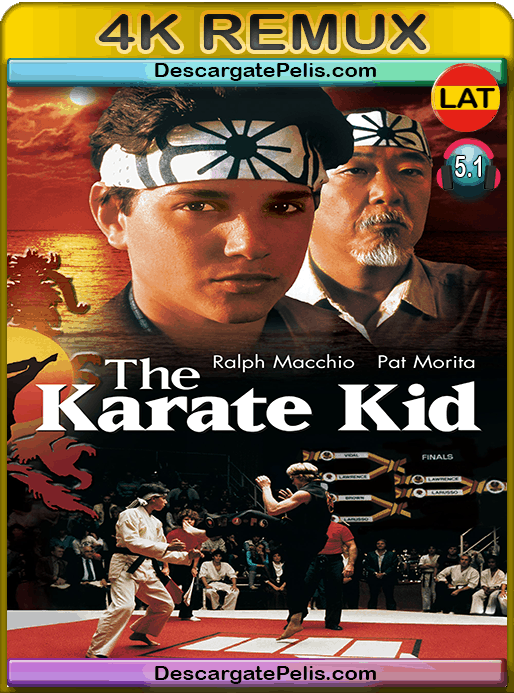 The Karate Kid 1984 Bd4k Remux Latino - Descargatepelis