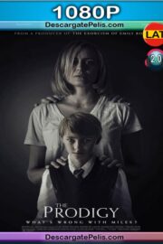 Maligno 2019 1080P WEB-DL Latino – Ingles