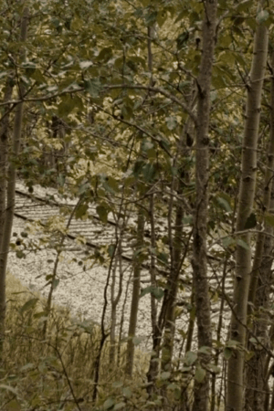 El asesinato de Jesse James por el cobarde Robert Ford 2007 1080p BRrip Latino – Inglés