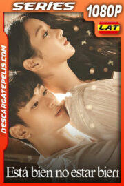 Está bien no estar bien (2020) Temporada 1 1080p WEB-DL Latino