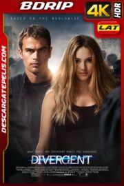 Divergente (2014) 4k BDrip HDR Latino – Ingles