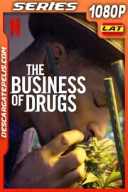 El negocio de las drogas (2020) 1080p WEB-DL Latino – Ingles