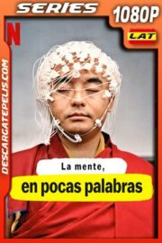 La mente en pocas palabras (2020) 1080p WEB-DL Latino – Ingles