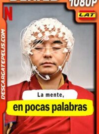 La mente en pocas palabras (2020) 1080p WEB-DL Latino – Ingles