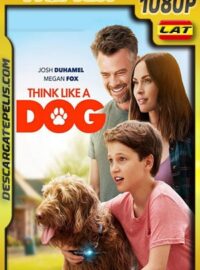 Think Like a Dog (2020) 1080p BDRemux Latino – Ingles
