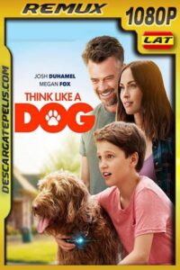 Think Like a Dog (2020) 1080p BDRemux Latino – Ingles