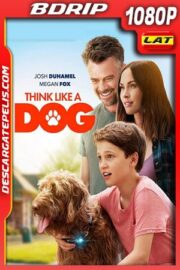 Think Like a Dog (2020) 1080p BDrip Latino – Ingles