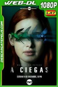 A ciegas (2020) 1080p WEB-DL Latino