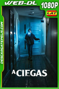 A ciegas (2021) 1080p WEB-DL Latino