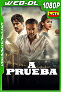 A prueba (2025) 1080p WEB-DL Latino